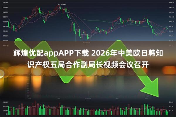辉煌优配appAPP下载 2026年中美欧日韩知识产权五局合作副局长视频会议召开